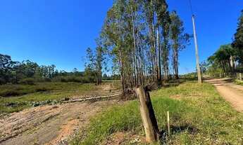 Imagem 5: Fazenda/Sítio/Chácara para venda tem 50000 metros quadrados em Área Rural de Taquara - Taq