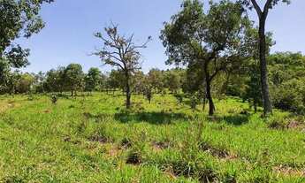 Imagem 5: Vendo ótima fazenda para produção rural