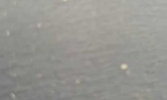 Imagem: Preciso de casa ou apartamento térreo paea