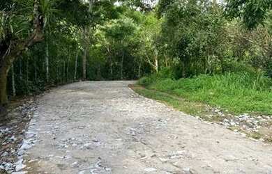 Imagem 5: Lotes Na Serra A 2Km Do Centro Do Pacoti E 07 De Guaramiranga Vem Para Esse Paraiso Muito