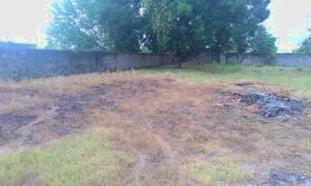 Imagem 2: Oportunidade alugo casa em penedo