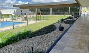 Imagem 4: Lote nascente de oportunidade no Terras Alphaville