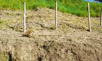 Imagem 4: Vendo terreno Terreno / lote com venda por R$90.000