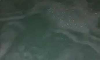 Imagem 6: Vendo studio reformado