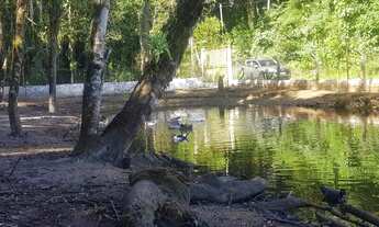 Imagem 5: Terreno sítio 3.000m2 em Itanhaém São Paulo murado com animais