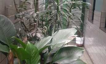 Imagem 7: Sobrado com 3 dormitórios à venda, 126 m² por R$ 700.000 - Jardim São Ricardo - São Paulo