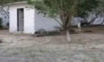 Imagem 4: Vendo um sítio Chácara com venda por R$350.000