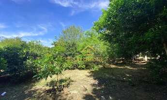 Imagem 7: Salomone vende Sítio de 1200me Com casa de 2 dormitórios e muitas frutíferas