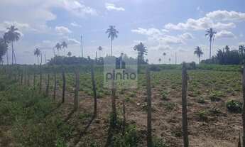 Imagem 5: Fazenda para Venda em Amélia Rodrigues, 3 dormitórios, 1 suíte