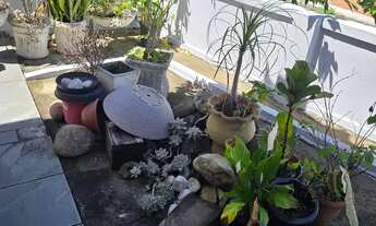 Imagem 9: Casa 2Q, Quintal com Linda Floreira, Rica em Armários e Rua com Controle de Acesso J. Gua