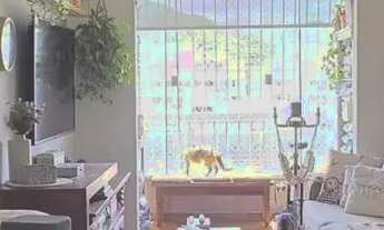 Imagem: Apartamento à venda em Santa Rosa, sol