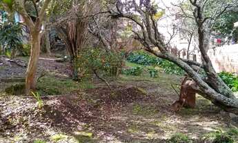 Imagem 7: DUAS CASAS MISTAS 5 DORM, TERRENOS 18X65=1.170m²