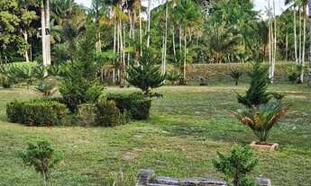 Imagem: Sítio 1000 x 3.000 estrada Balbina 1.016.000