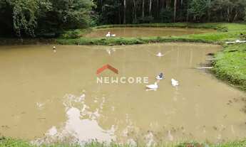 Imagem: Sítio em Estrada Alta Cruzinha - Cruzinha