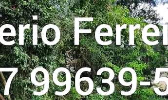 Imagem 7: Ótima chácara Retiro do Congo, com fundo e uma lateral já murados, Excelente Oportunidade!