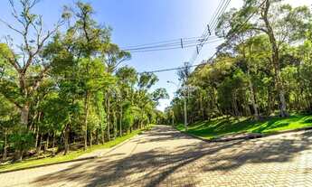 Imagem 5: TERRENO COM PARCELAMENTO DIRETO EM ATÉ 60X