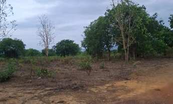 Imagem 5: FAZENDA 75 ALQUEIRES EM COLINAS/GO