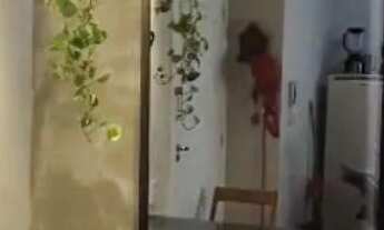 Imagem 3: OPORTUNIDADE: APARTAMENTO PALHOÇA, SEMI-MOBILIADO COM LAZER DE CLUBE - 10 MIN DE FLORIPA