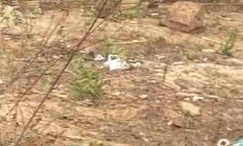 Imagem: Terreno no João de barro