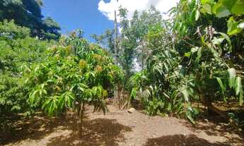 Imagem 6: Vende se casa, interior de cacequi, vila umbu