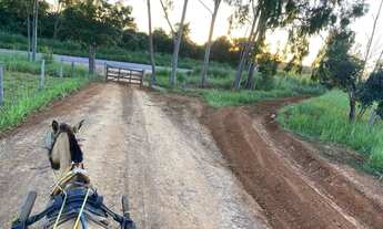 Imagem 4: OPORTUNIDADE ÚNICA!!! Fazendinha de 38 hectares as margens da BR a 12 km de Unaí MG
