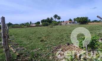 Imagem 5: Terreno no Recanto da Andorinhas