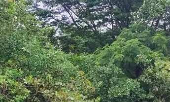 Imagem 3: Chacara a venda Chácara com venda por R$80.000