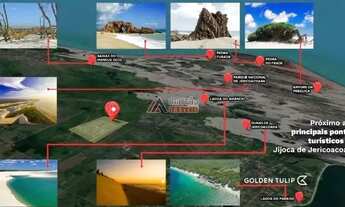 Imagem 7: Lotes em Jericoacoara