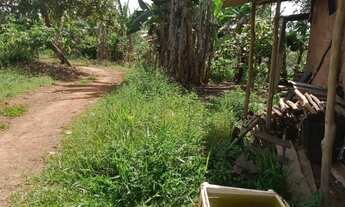 Imagem 5: Vendo excelente sítio no município de Jaguaripe