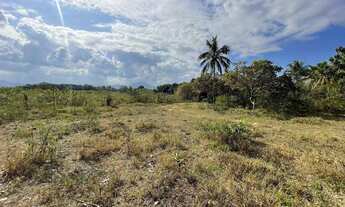 Imagem 4: Sítio Toca da Raposa, 600 metros da entrada do condomínio Lagoa Da Praia