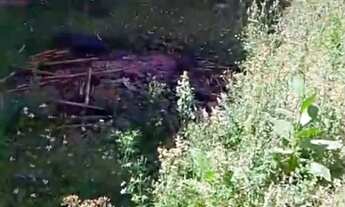 Imagem 4: Terreno 208 M² Terreno / lote com venda por R$100.000