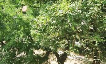 Imagem 4: Apartamento em Santa Tereza