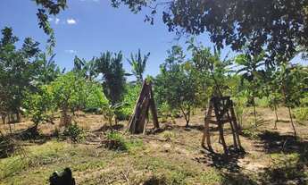 Imagem 6: Chácara 5000m² 17 km do Industrial, C/Casa, Energia, Internet e Agua Corrente, R$ 280.000