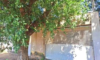 Imagem: Casa Bairro Jardim Planalto 03 dormitorios