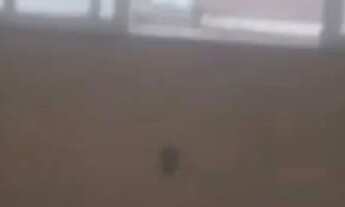 Imagem: Casa 2 quartos em Vila segurança e local