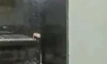 Imagem 7: APARTAMENTO - VILA LEOPOLDINA - SP