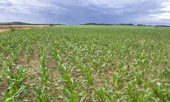 Imagem: Fazenda em Amorinópolis GO