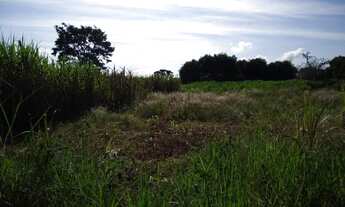 Imagem 3: Vendo Chácara em frente ao Bairro de Fátima com 35 mil metros - Escriturada