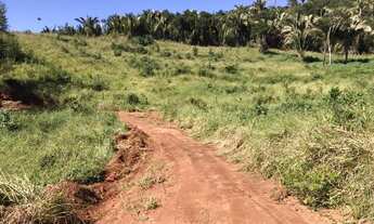 Imagem 7: Vendo Sítio Proximo Setubinha MG