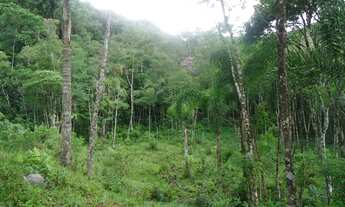 Imagem 5: Sitio valor R$ 8.500,00 cada hectares