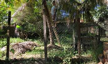 Imagem 6: Terreno parque verde 2