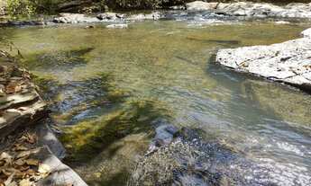 Imagem 3: Fazenda 45 Alq Aragoiania Bruta rica em Água