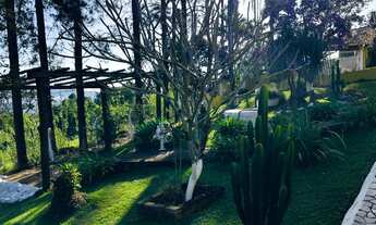 Imagem 3: INVISTA NESSA OTIMA CHACARA