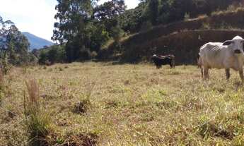 Imagem 5: Vende-se terreno Caparaó