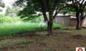 Imagem 4: Chacara (chacara) 2 dormitórios, cozinha planejada