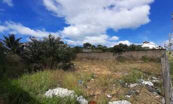 Imagem 4: Excelentes lotes à venda na parte alta do Novo Horizonte