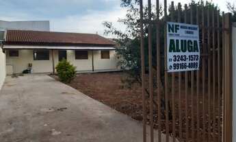 Imagem 2: Aluga se no bairro Celina Dalul - Mirassol