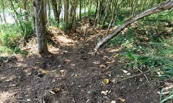 Imagem 3: Terreno com acesso