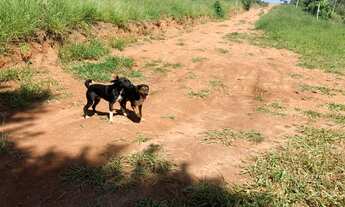 Imagem 7: Terreno com acesso