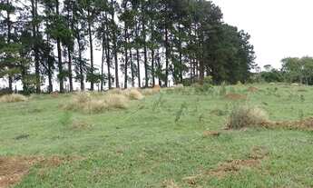 Imagem 2: Terreno bem localizado em Igaratá